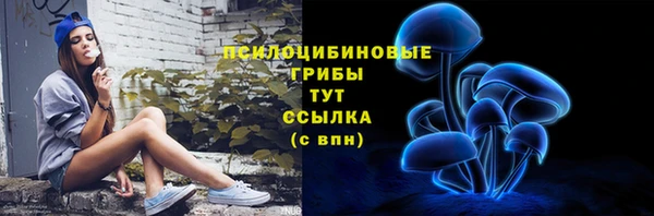 прущие крисы Богданович