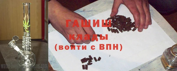 гидра Богородицк