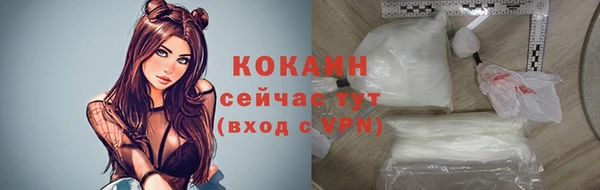 гидра Богородицк