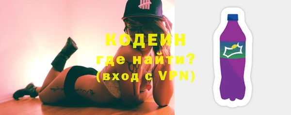 гидра Богородицк