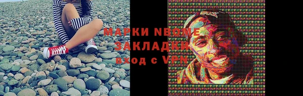 гидра Богородицк