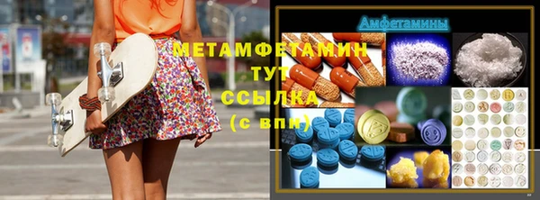 гидра Богородицк